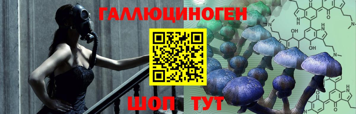 Раменское  Псилоцибиновые грибы GOLDEN TEACHER  Вход с VPN 